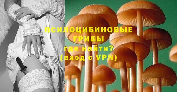 MDMA Premium VHQ Богородицк