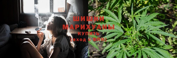 амф Беломорск